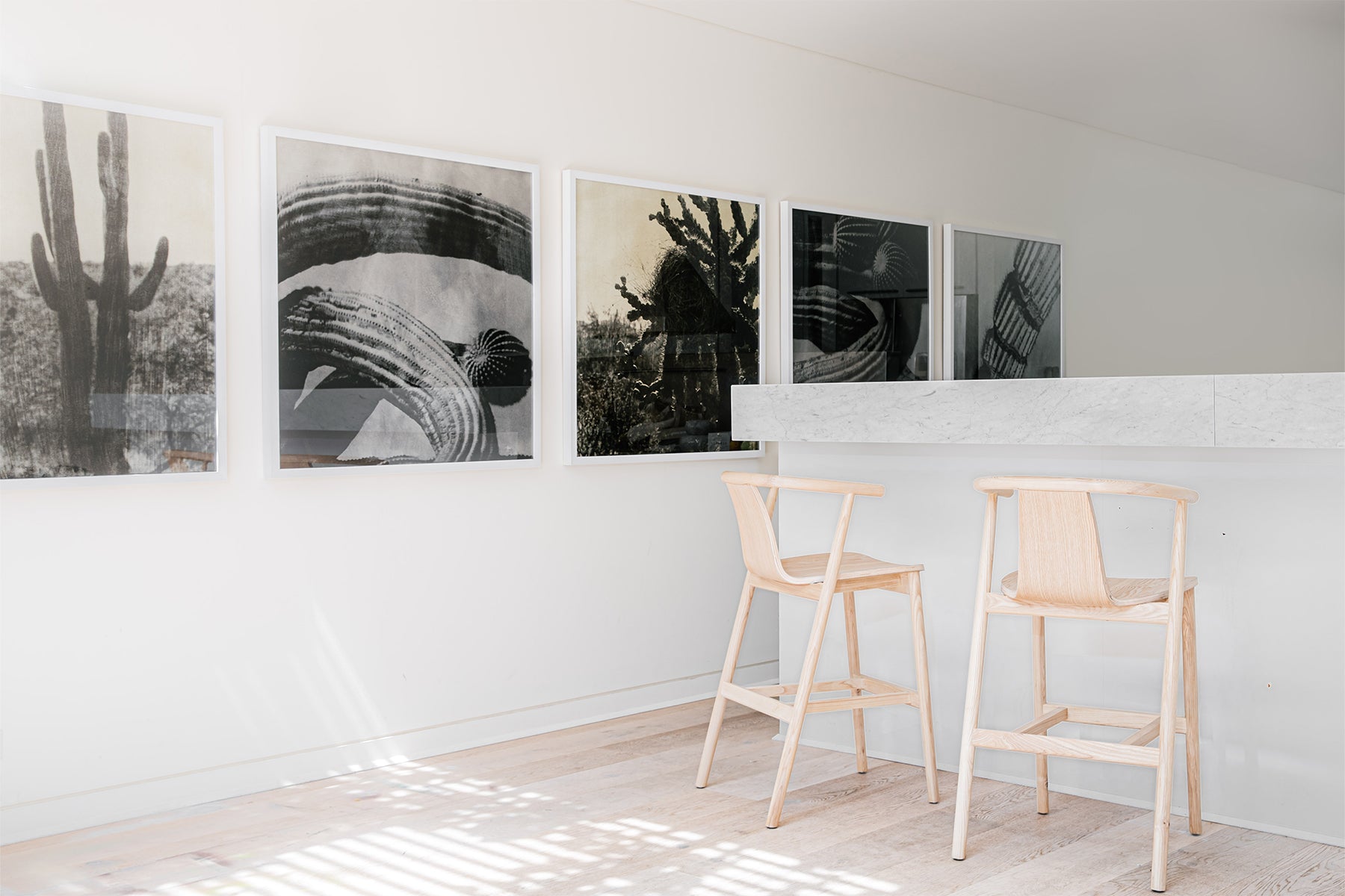 Cacti Series - Arizona 2