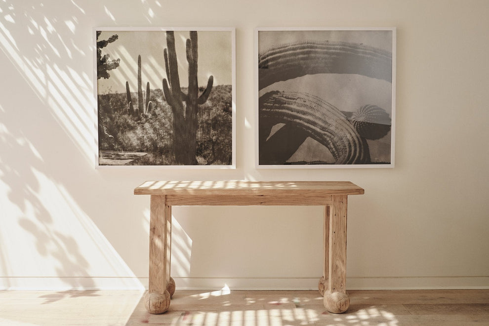 Cacti Series - Arizona