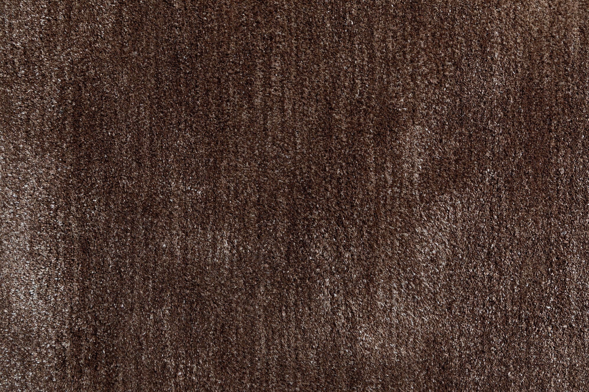 Bayard Rug